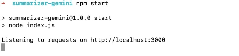 Start the summarizer API Express.js server with npm start