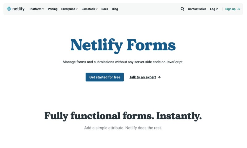 Netlify and Netlify forms for getting user data