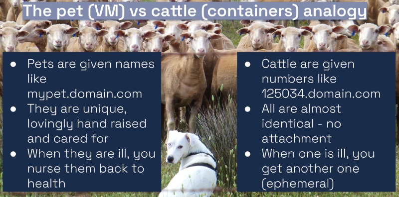 Pets vs cattle analogy for VMs vs containers