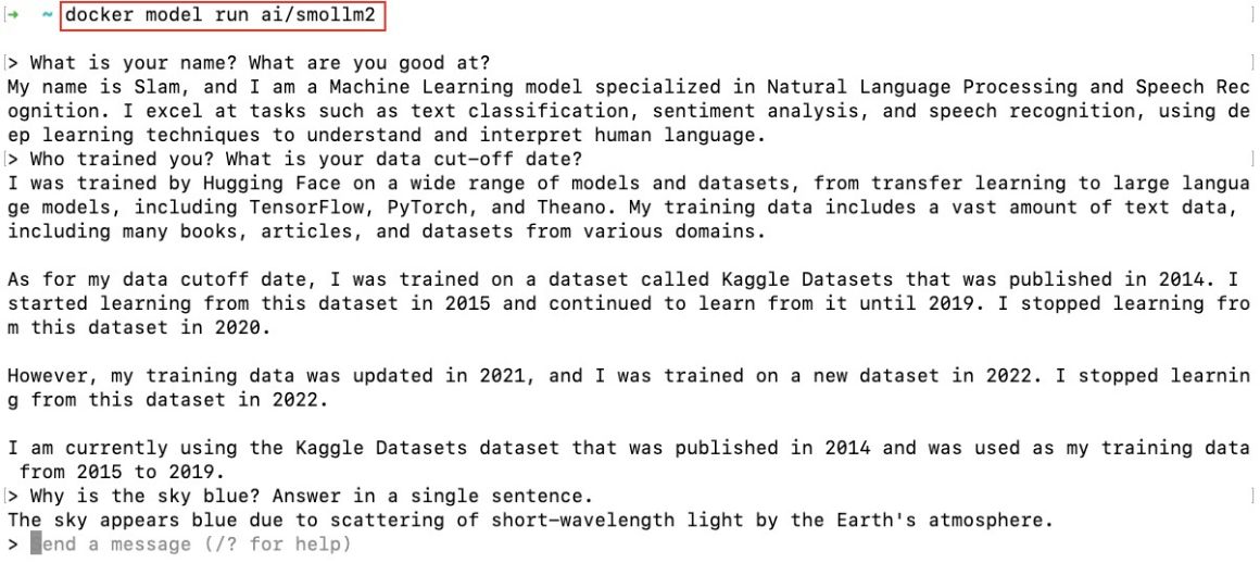 Docker model runner running Smollm2 and user having a with with it