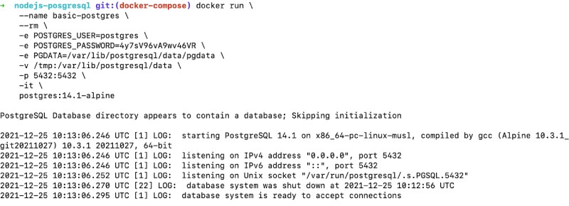 Run PostgreSQL with just docker run