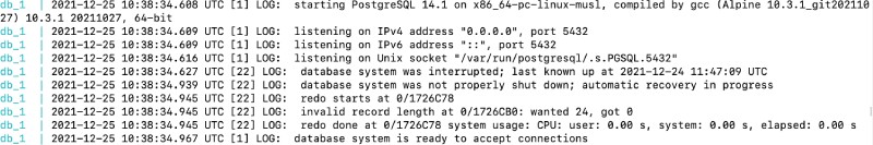 Output of docker-compose up for Postgres container