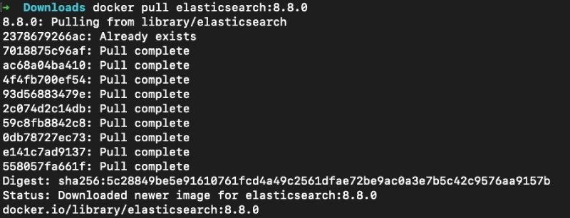 Output of docker pull for elasticsearch image from Docker hub