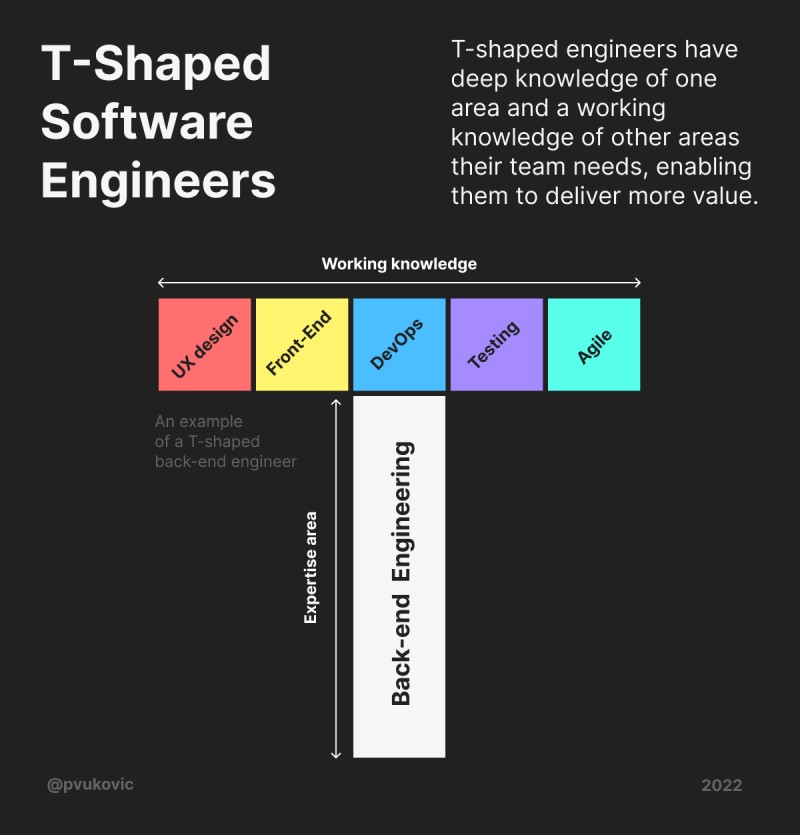 An example T-shaped engineer with a focus on backend development