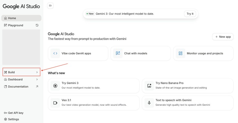 Google AI Studio Build link Google AI Studio Build link