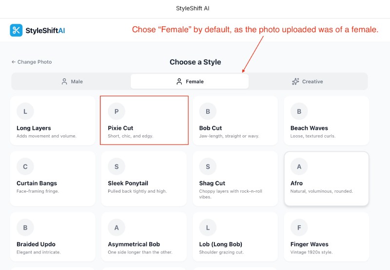 List of female hair styles on Google AI Studio preview as a female photo is uploaded List of female hair styles on Google AI Studio preview as a female photo is uploaded