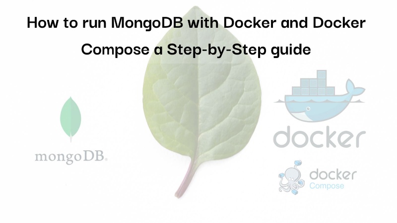 how-to-run-mongodb-with-docker-and-docker-compose-a-step-by-step-guide