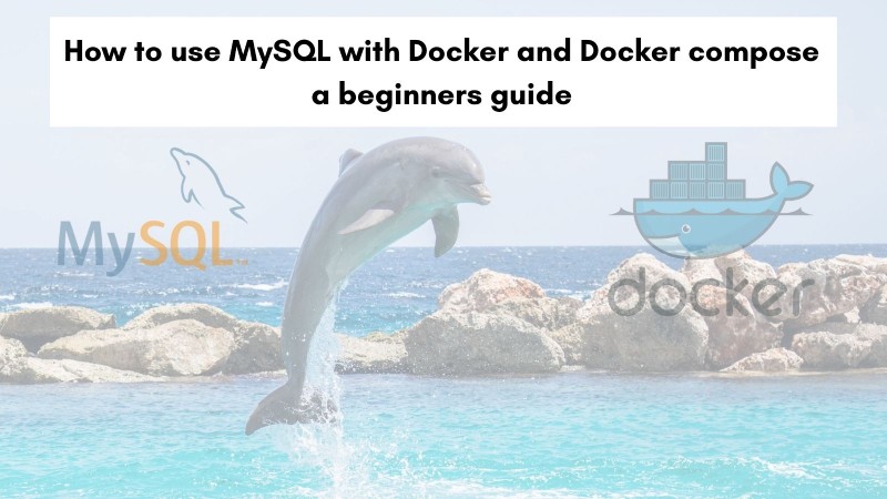 How to use MySQL with Docker and Docker compose a beginners guide