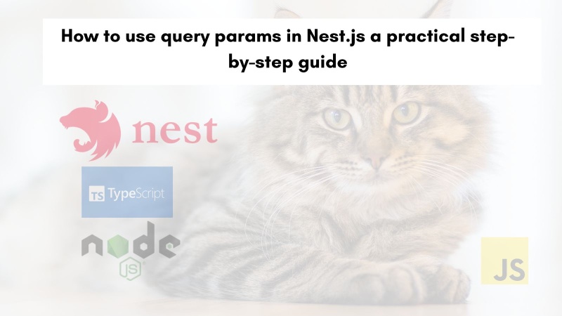 How to use query params in Nest.js a practical step-by-step guide