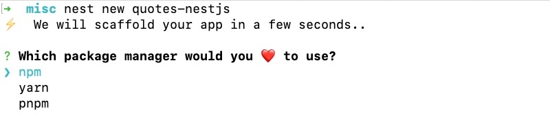 Select npm as the package manager for Nest.js project scaffolding