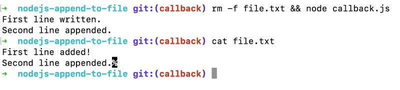 Append contents to a file using Node.js with callbacks fs.apppendFile