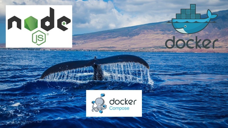 Docker with Node.js and docker compose