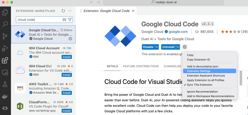 Duet AI (Cloud Code) settings on VS Code