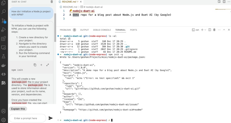 Duet AI (Cloud Code) on VS Code helping to initialize a Node.js project with NPM