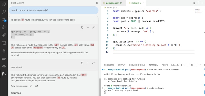 Duet AI (Cloud Code) on VS Code helping to add Express.js route