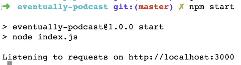 Output of NPM start, express server listening at port 3000