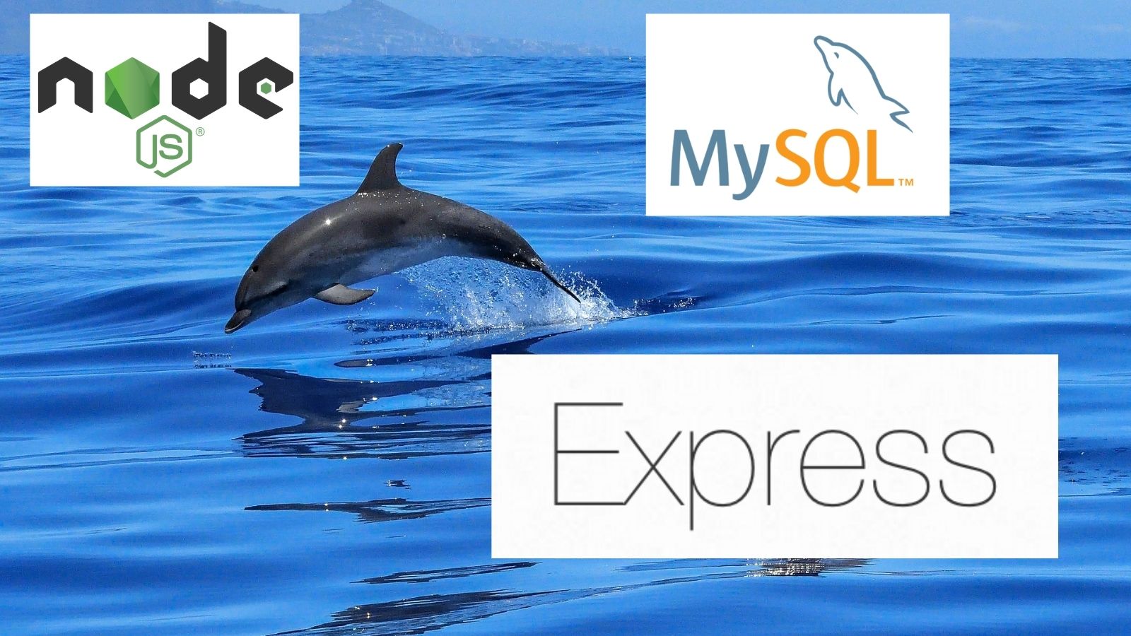  MySQL tutorial: a step-by-step getting started guide with Express  js REST API