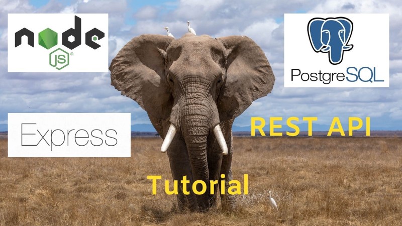 Node.js postgresql tutorial to build a quotes REST API using Express step-by-step
