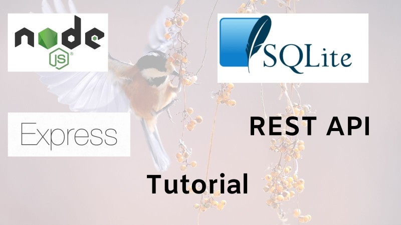 Node js SQLite Build A Simple REST API With Express Step by step