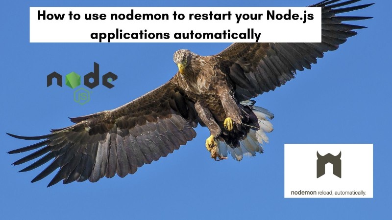 How to use nodemon to reload applicaitons automatically