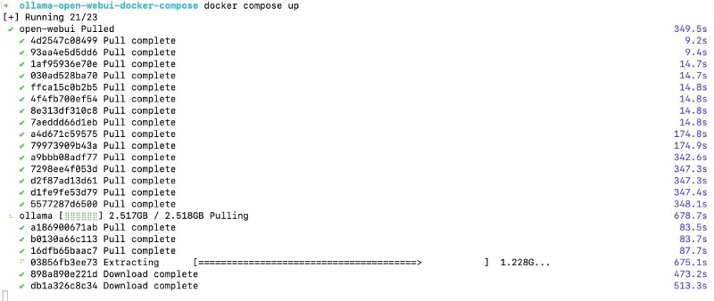 Pulling GBs or data for Ollama and Open WebUI Docker Images