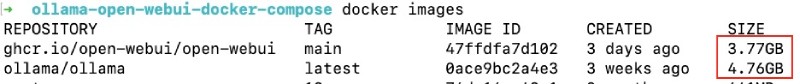 Ollama and Open Web UI have big Docker images