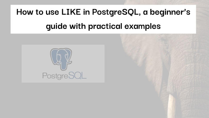 How to use LIKE in PostgreSQL a beginner’s guide with practical examples