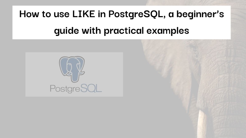 how-to-use-like-in-postgresql-a-beginner-s-guide-with-practical-examples