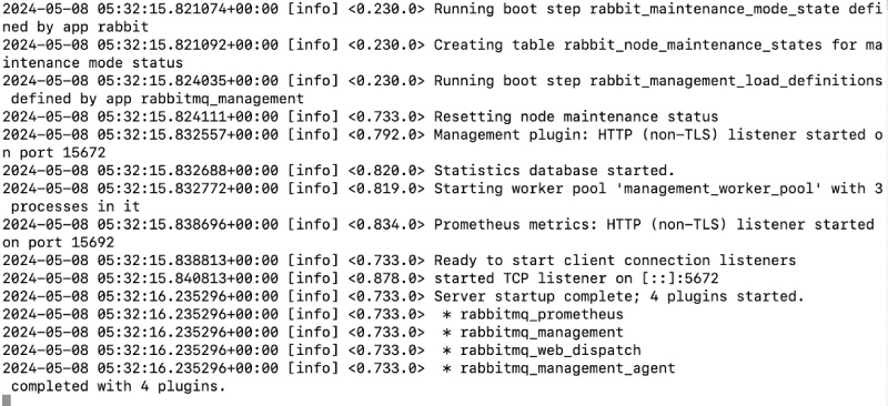 RabbitMQ running with the docker run command in not detached mode
