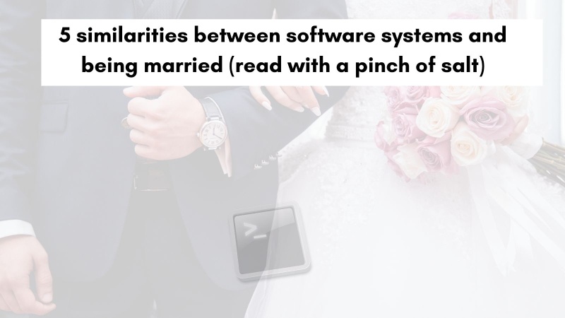 Similarities between software systems and being married