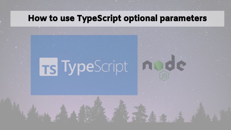 How to use TypeScript optional parameters with example code
