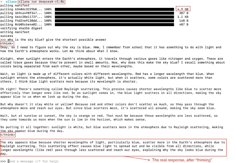 Running Deepseek R1 8 billion parameters model (4.9 GB) with Ollama